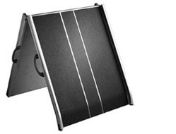 Wide Folding Ramp